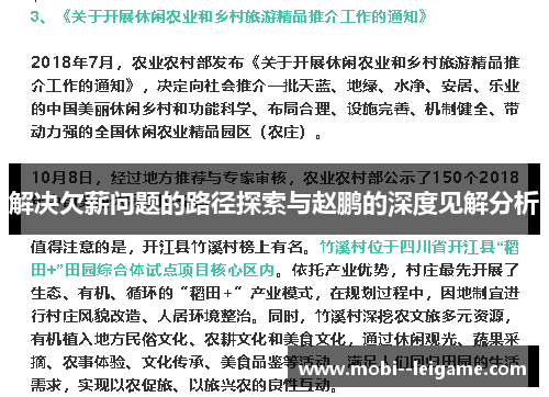 解决欠薪问题的路径探索与赵鹏的深度见解分析