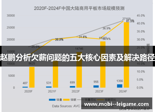 赵鹏分析欠薪问题的五大核心因素及解决路径 赵鹏分析欠薪问题的五大核心因素及解决路径