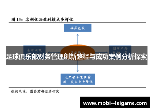 足球俱乐部财务管理创新路径与成功案例分析探索