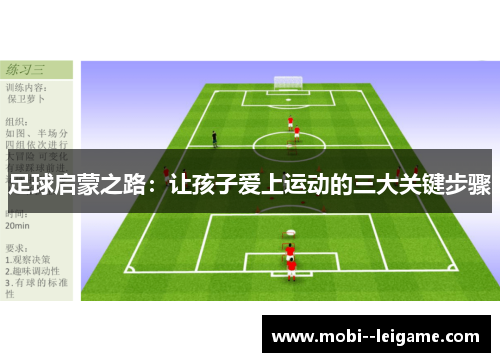 足球启蒙之路:让孩子爱上运动的三大关键步骤 足球启蒙之路:让孩子爱上运动的三大关键步骤