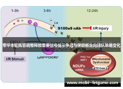 意甲本轮阵容调整释放重要信号揭示争冠与保级新走向球队策略变化 意甲本轮阵容调整释放重要信号揭示争冠与保级新走向球队策略变化