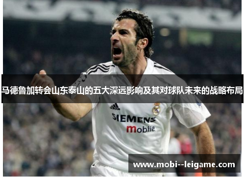 马德鲁加转会山东泰山的五大深远影响及其对球队未来的战略布局 马德鲁加转会山东泰山的五大深远影响及其对球队未来的战略布局