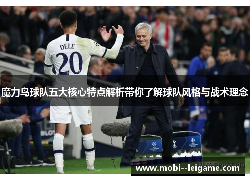 魔力鸟球队五大核心特点解析带你了解球队风格与战术理念 魔力鸟球队五大核心特点解析带你了解球队风格与战术理念