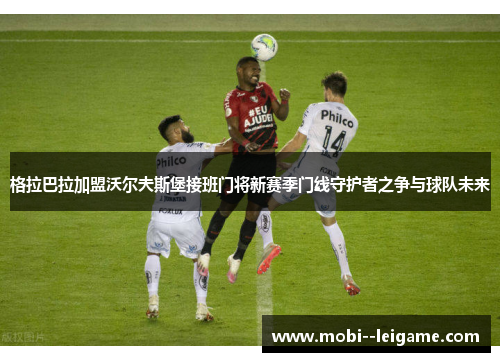 格拉巴拉加盟沃尔夫斯堡接班门将新赛季门线守护者之争与球队未来