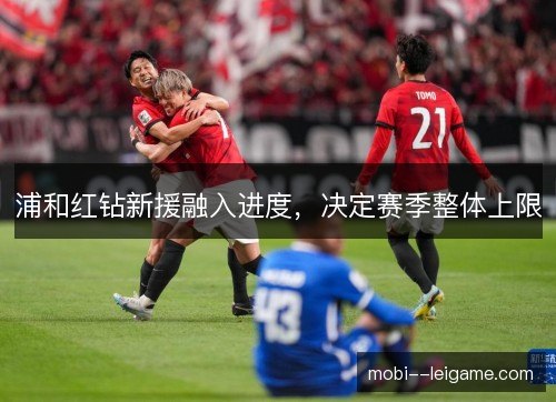 浦和红钻新援融入进度,决定赛季整体上限 浦和红钻新援融入进度,决定赛季整体上限